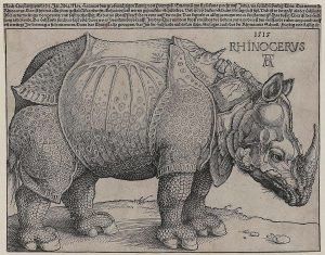 Print of Rhinoceros in profile.
